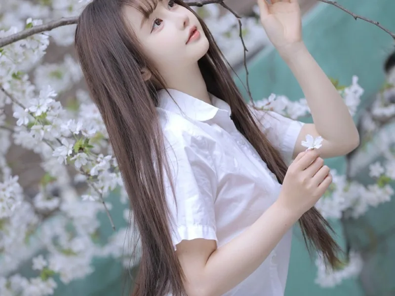 作品与演出信息检索索引